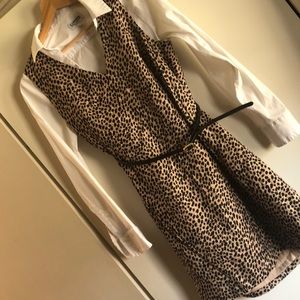 Ann Taylor Leopard Shift Dress